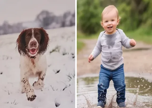 A calendar photo page with two photos side by side: a spaniel running in the snow and a toddler splashing in a puddle