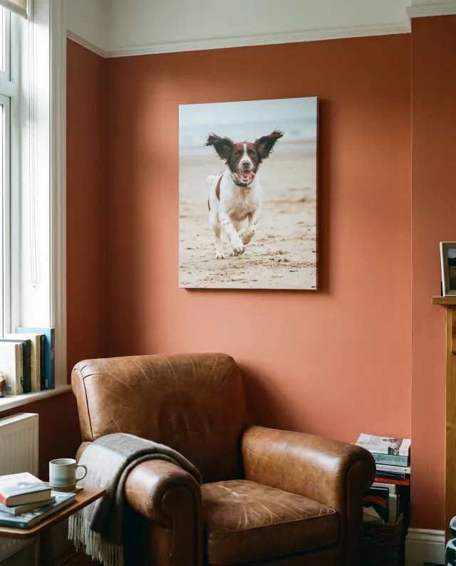 A canvas print of a spaniel running on a beach above a leather armchair