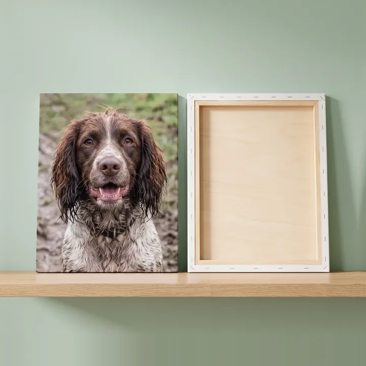 A canvas print of a muddy spaniel beside a premium canvas turned to show the wooden board on its back, on a shelf against a pale green wall